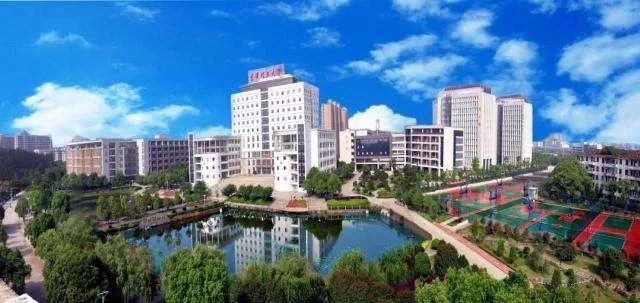 1558408327004006262.jpg IMG_2907.jpg